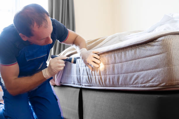 Best Fumigation Services  in Thonotosassa, FL